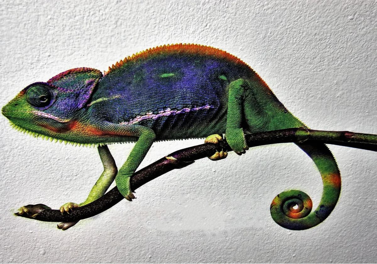 Wall printing advantages