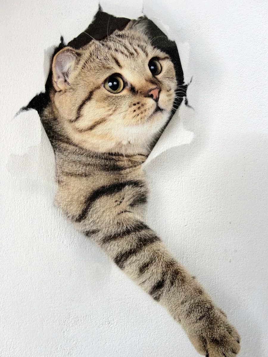 Cat artwork home office wall