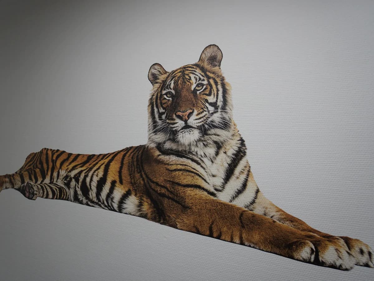 Home office feature wall