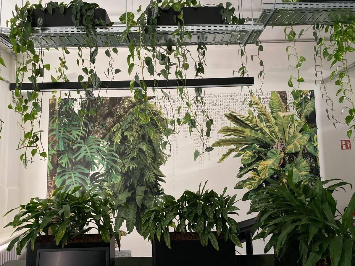 Wide office feature wall