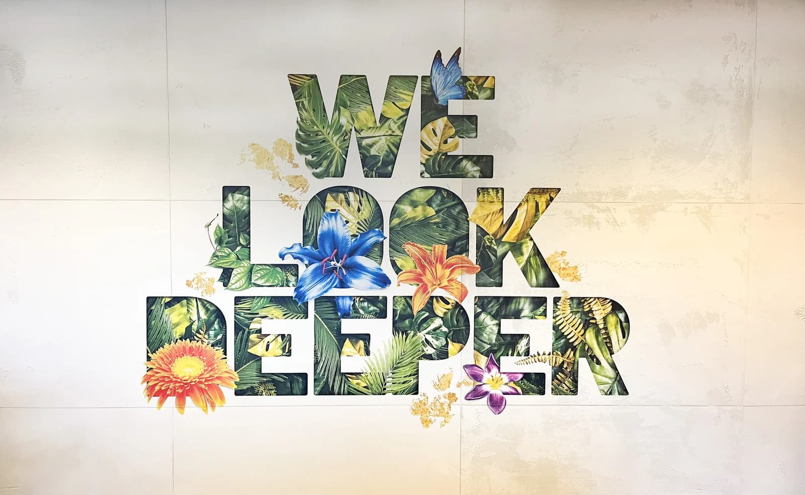 We look deeper office wall